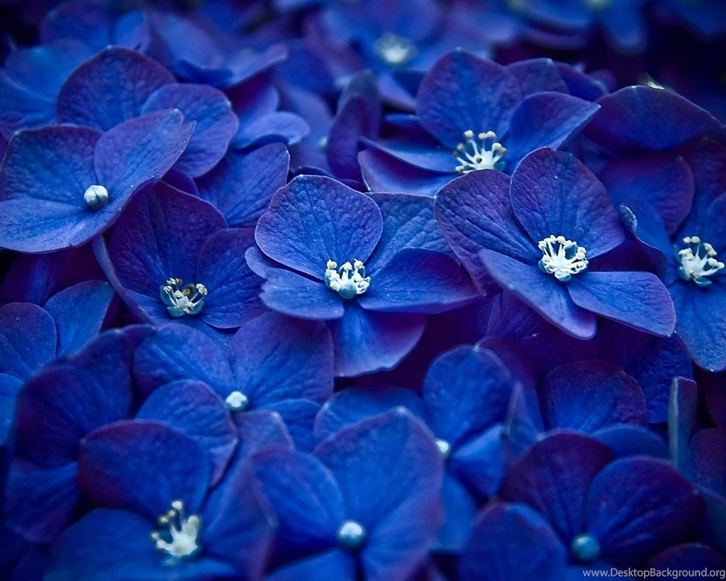 Wallpapers For Cute Blue Wallpapers