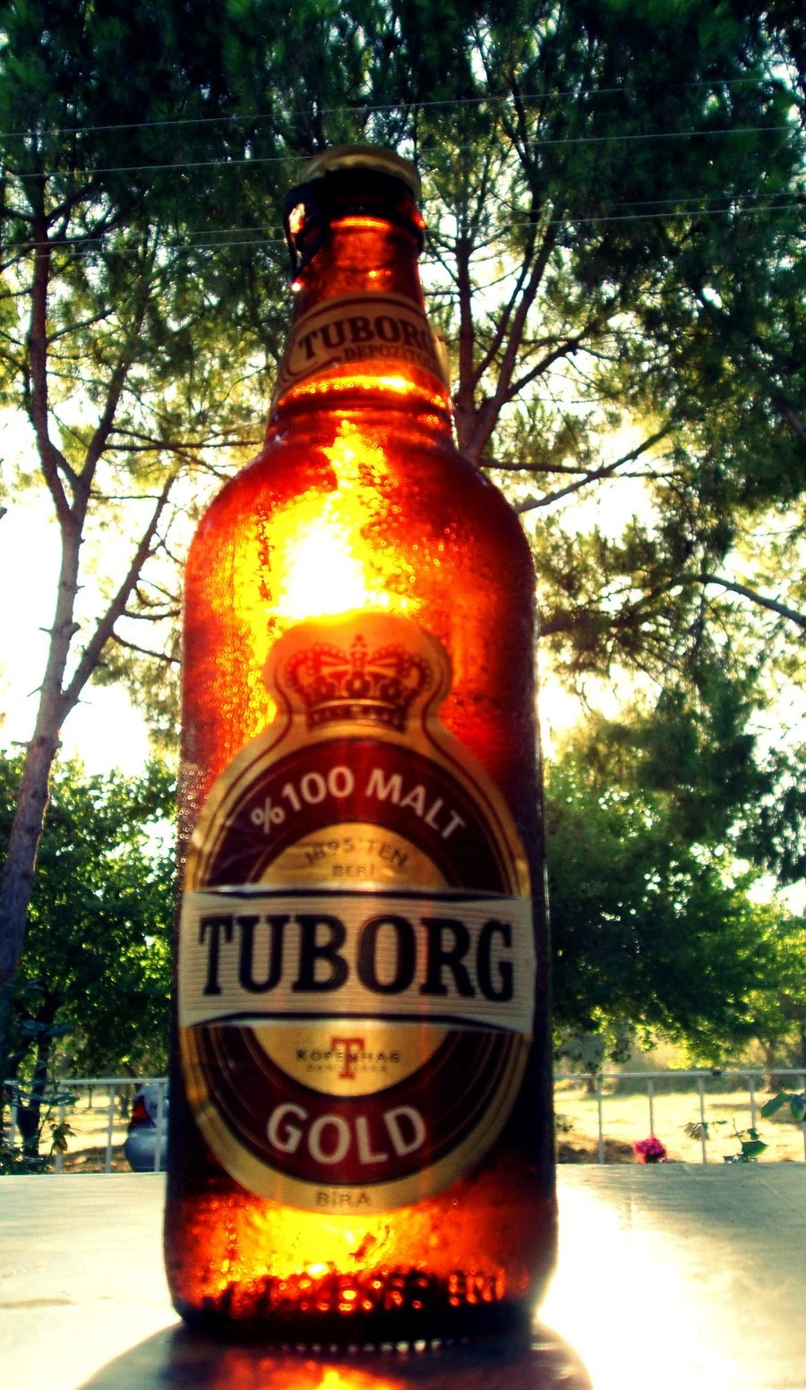 Tuborg Gold By Elfoz On DeviantArt