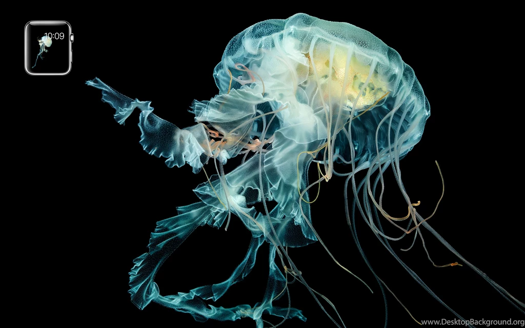 Apple Bringing Apple Watch Like Motion Wallpapers To iPhone 6s