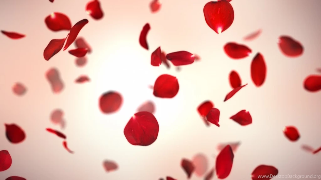 Falling Red Rose Petals Backgrounds   YouTube