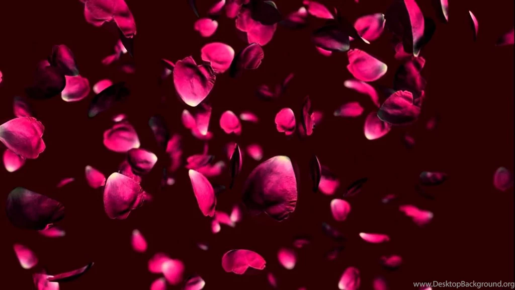 Free Wedding Falling Rose Petals Animation Background.   YouTube