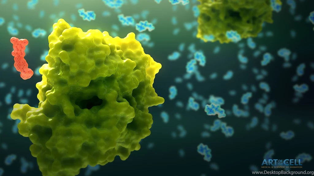 Medical Animation Wallpapers Medical & Scientific Video ...