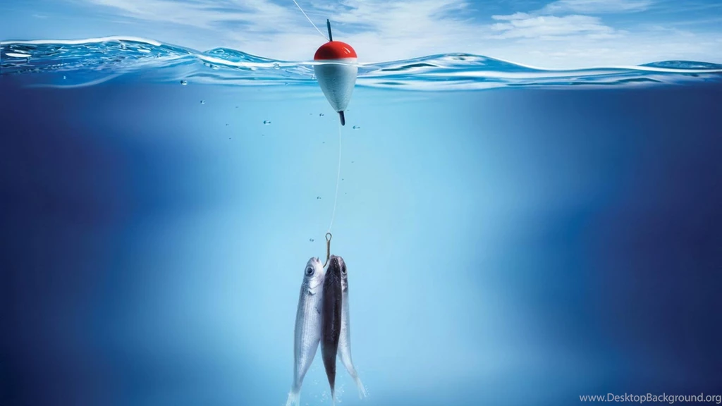 Fishing Wallpapers Pics Attachment 17452 Amazing Wallpaperz