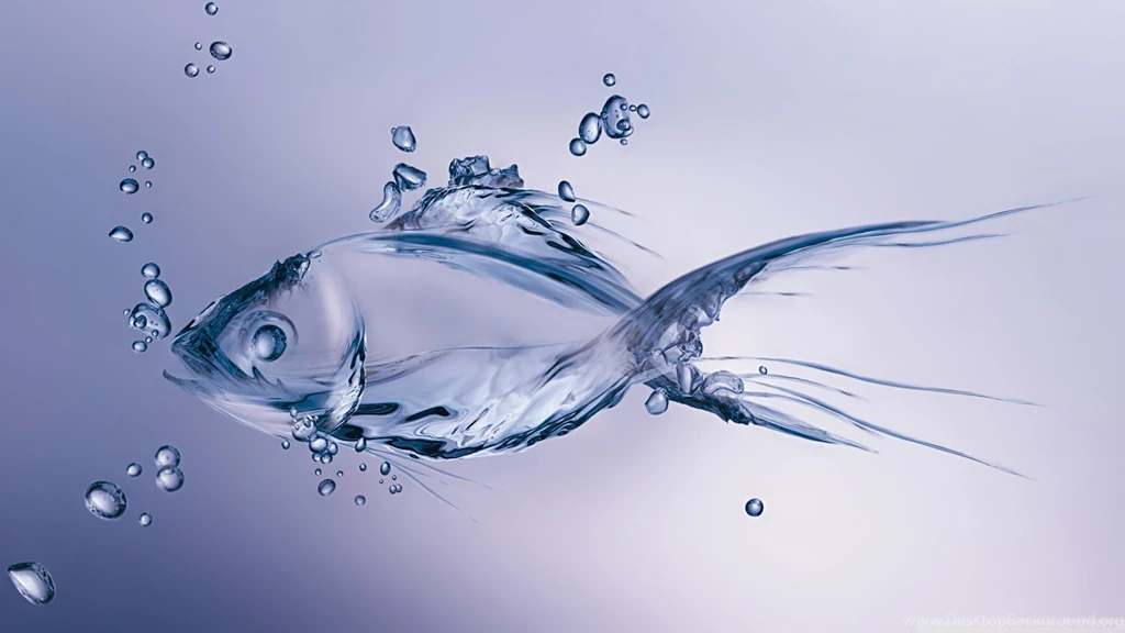 Ice Fishing Wallpapers Desktop Images