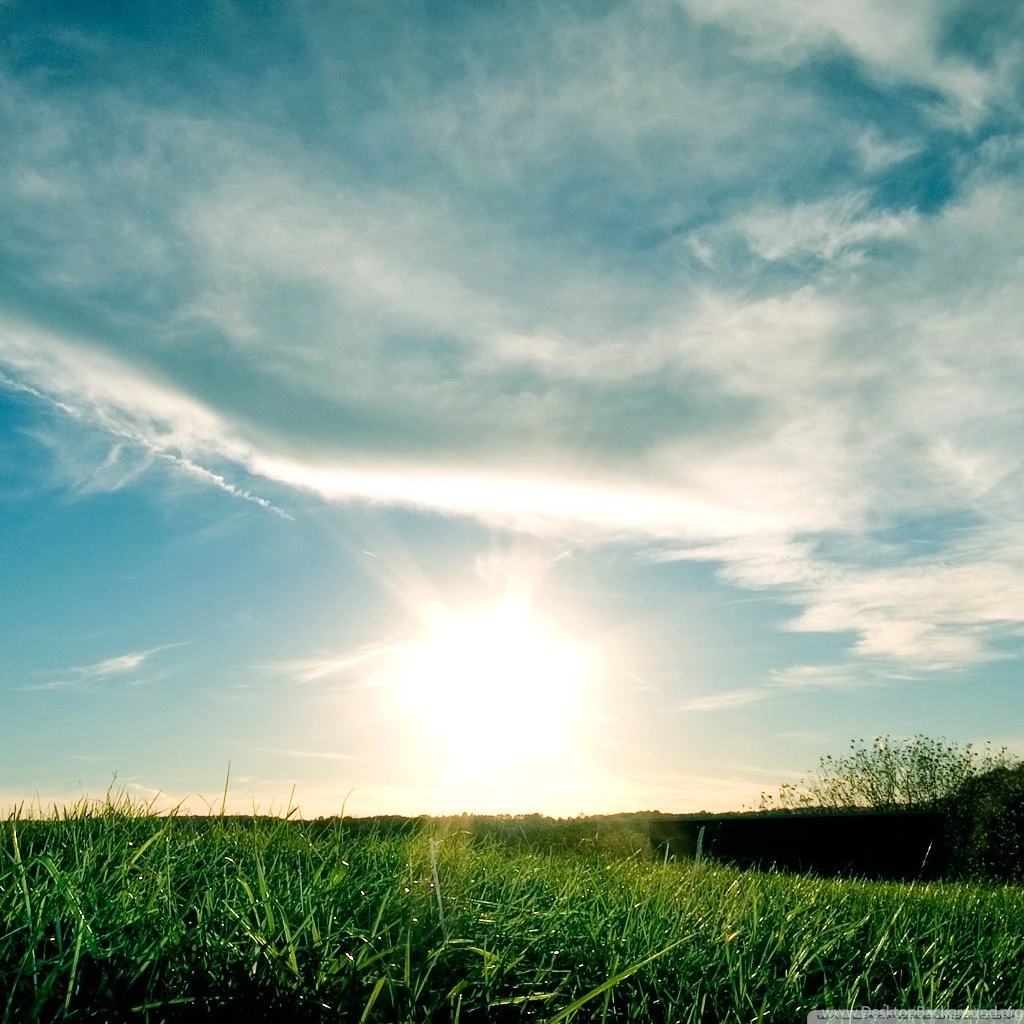 Sunny Day, Summer HD Desktop Wallpapers : Mobile