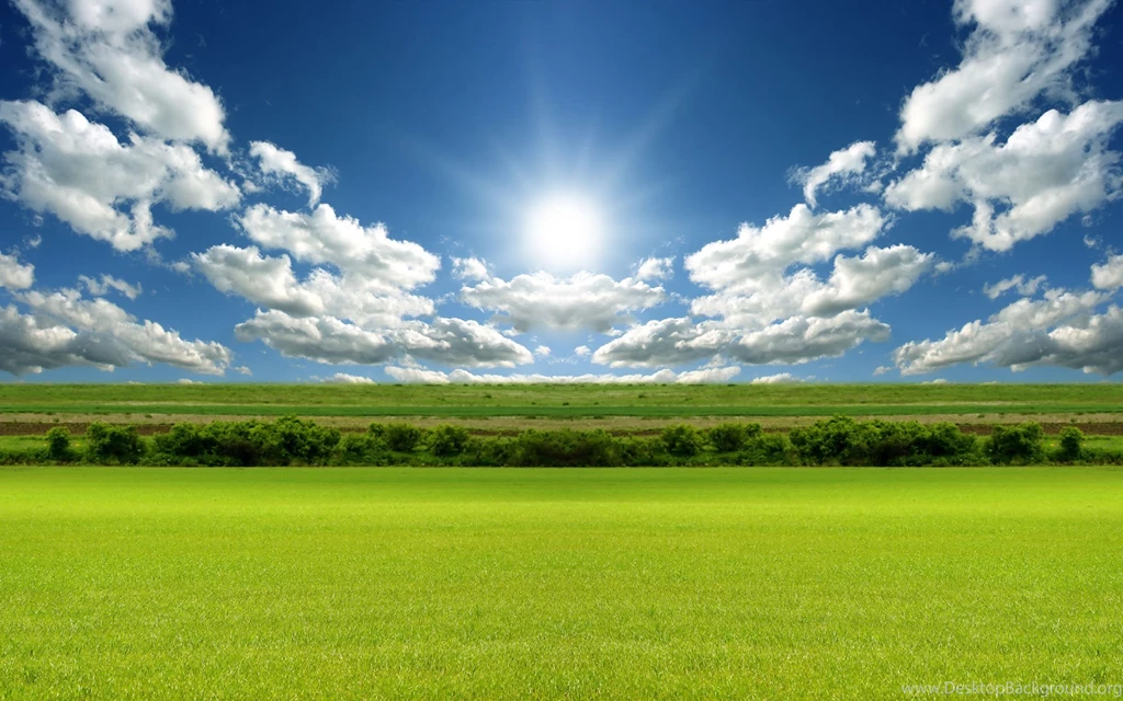 Sunny Bright Day Wallpaper 0.jpg