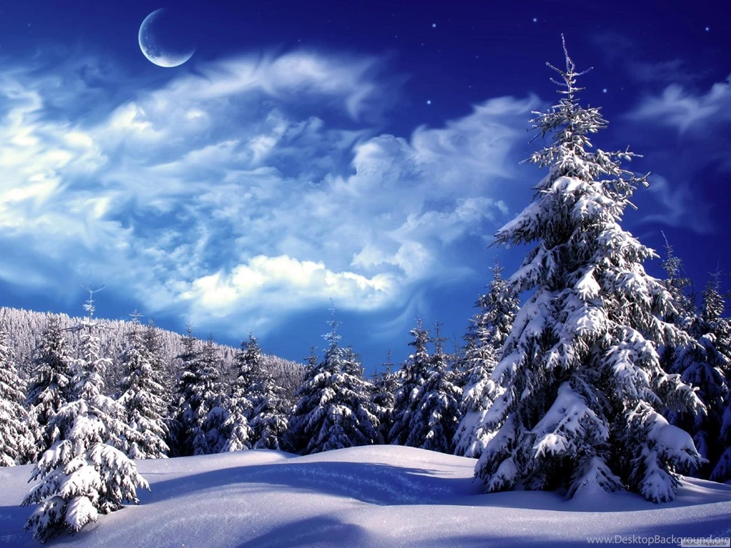 WINTER TIME WALLPAPER (
