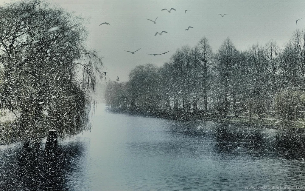 Wintertime In Amsterdam Wallpapers For Desktop, Laptop And Tablet