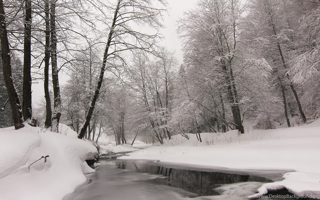 Nicu's FOSS'n'stuff: Winter Wallpapers