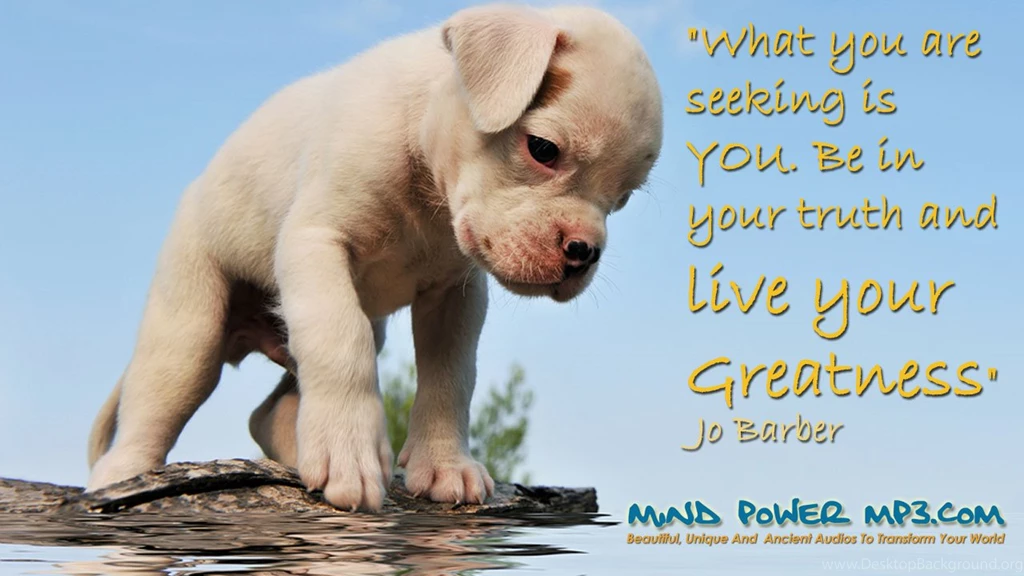 Words Of Wisdom And Cute Inspirational Wallpapers Part 2 ...