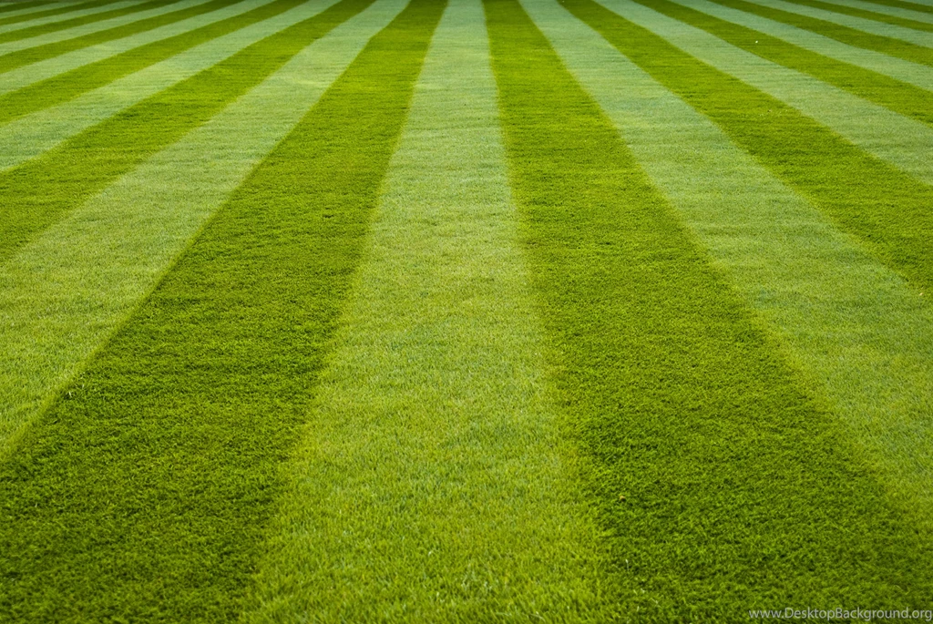 Baseball Field Grass Wallpaper.