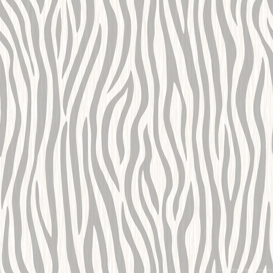 Modern Wallpapers Zebra   MurivaMuriva