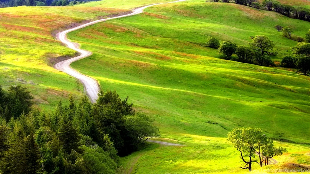 Fresh Nature Wallpapers 2 Photos Of Creating Fresh Atmosphere Using ...