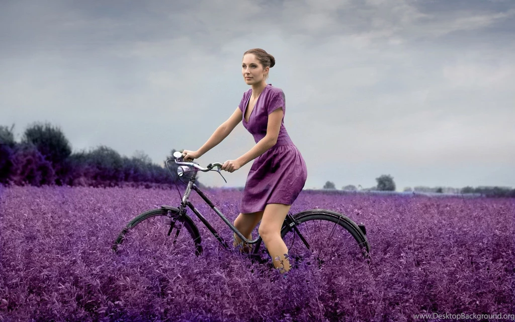 Dr_Teddy's Profile On PrimeWire