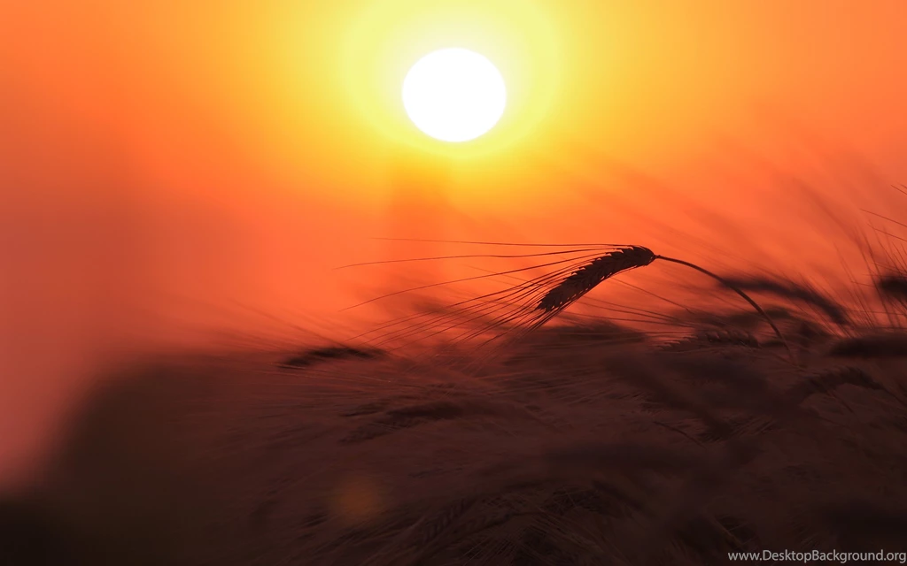 Sunrise Wallpapers Archives HDWallSource.com HDWallSource.com