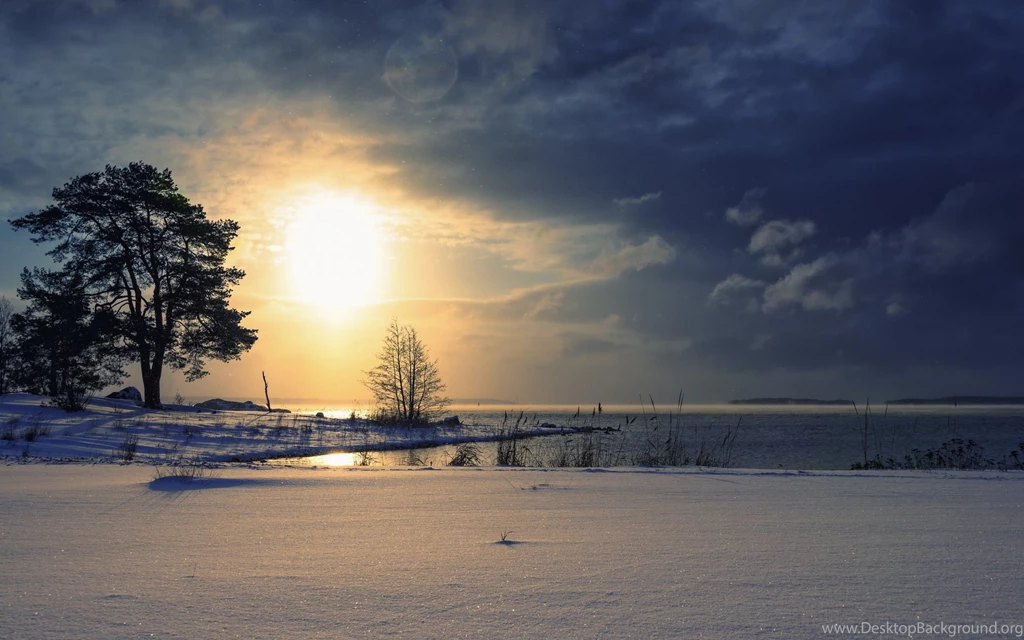 Silhouette Horses Sunrise Sunset Sky Wallpapers