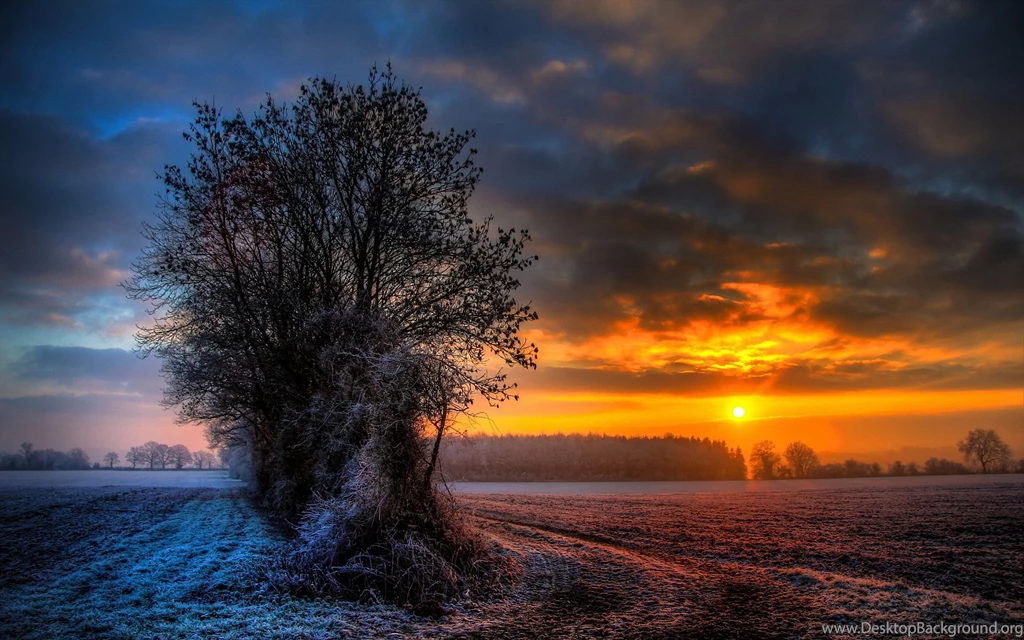 Winter Sunset Wallpapers