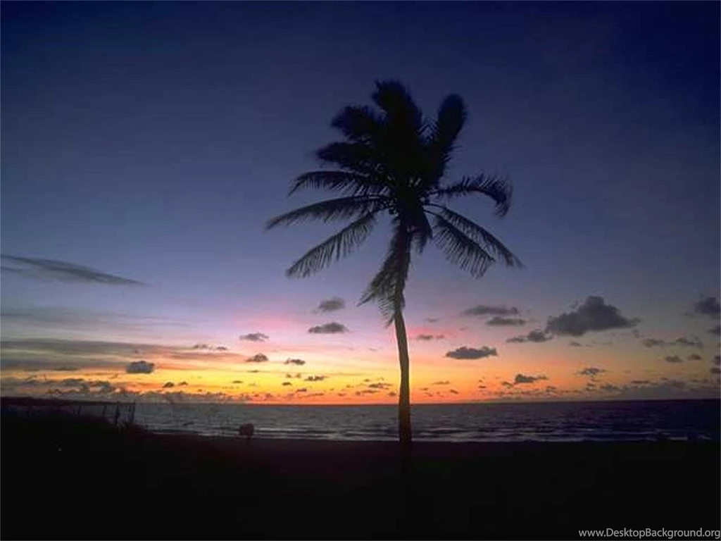 Tropical Sunrise And Sunset Wallpapers