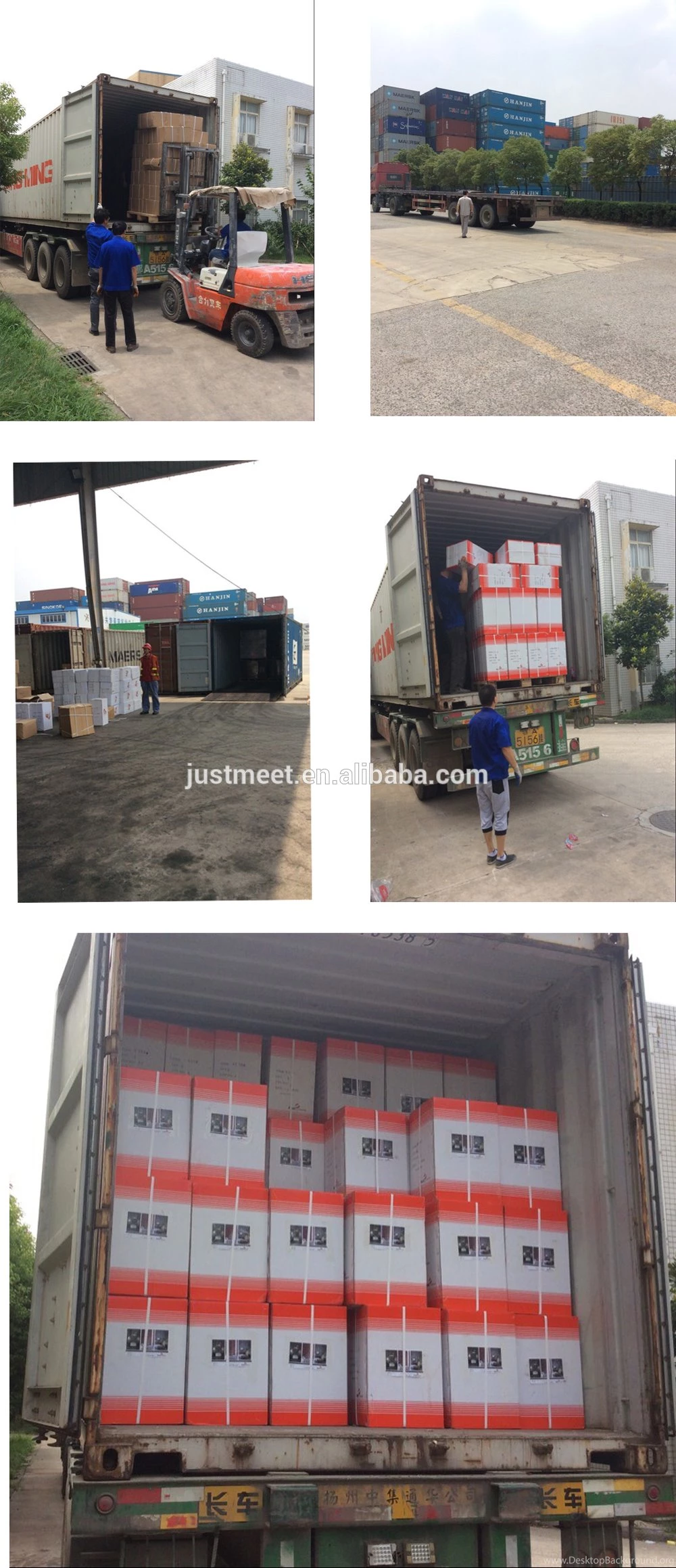 Living Walls Wallpapers And Wallpapers Wall Roses And Wallpapers ...