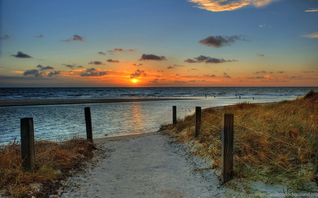 Sun Grass Fog Trees Sunrise Sunset Landscape