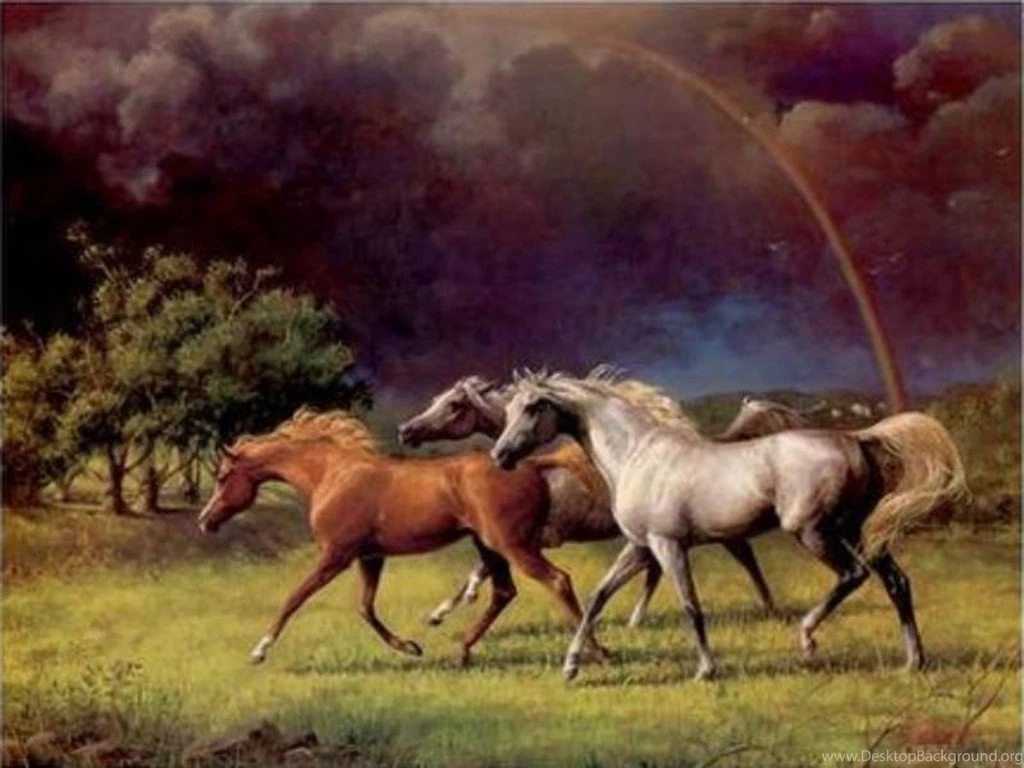 Arabian Horse Computer Wallpapers 2503 Amazing Wallpaperz