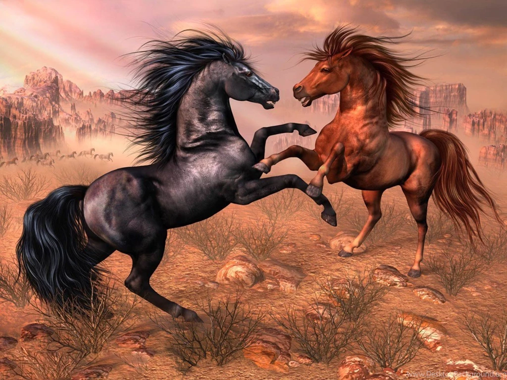 Horses: Arabian Horses Animal Art Horse Wallpapers HD For HD 16:9 ...