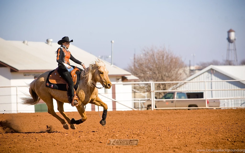 3 Cowgirl HD Wallpapers