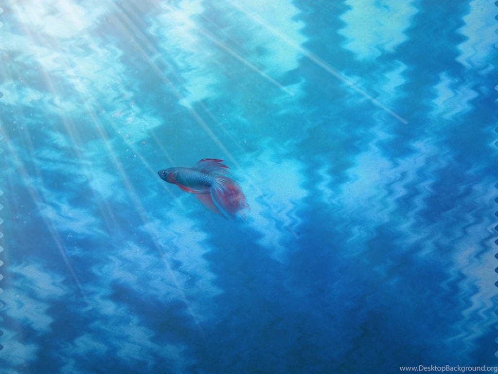 Tie Dye : Desktop And Mobile Wallpapers : Wallippo