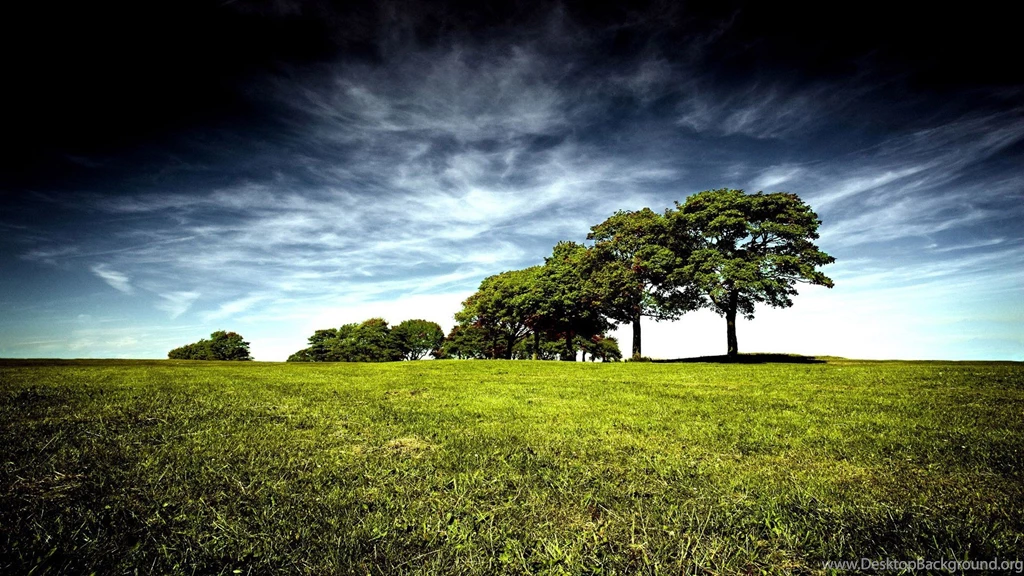 Amazing HD Wallpapers
