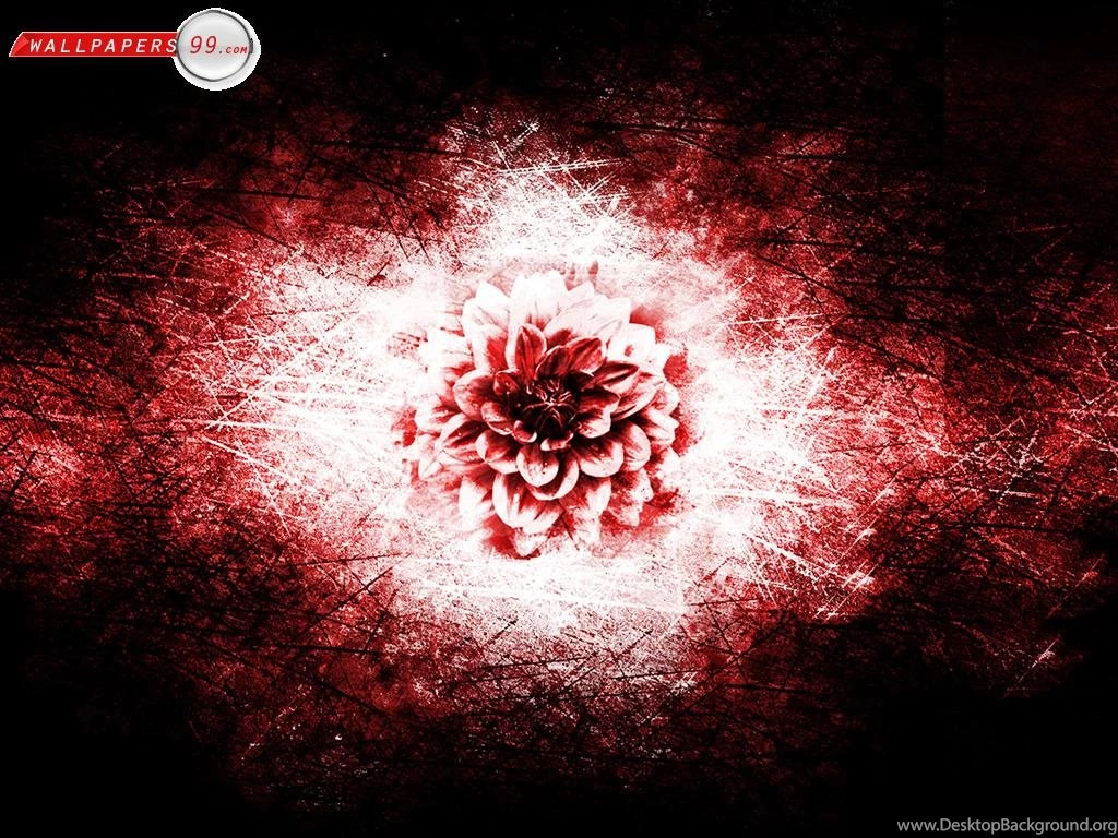 Cool Wallpapers HD Widescreen For Desktop Mobile Iphone Windowns7 ...