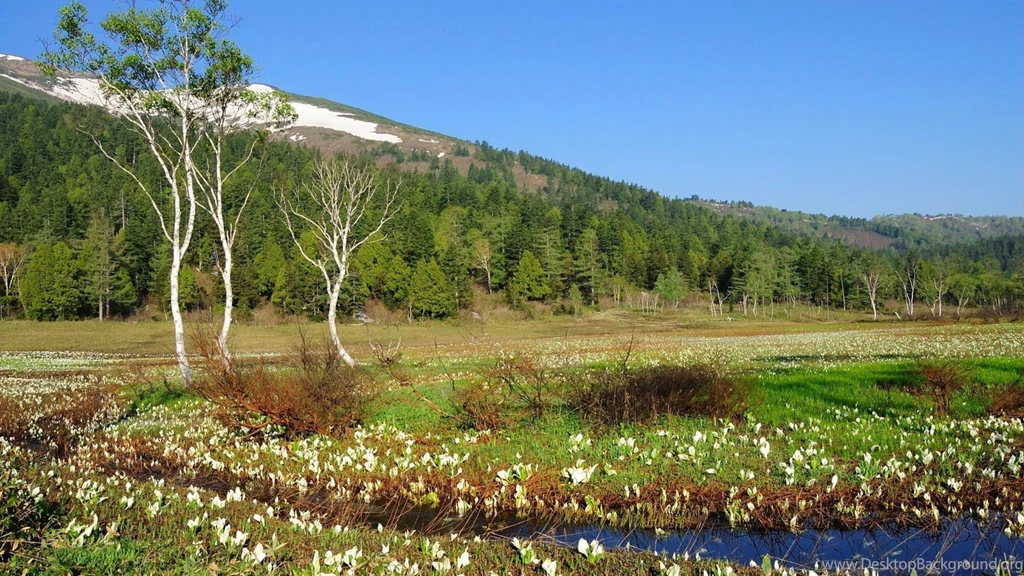 Most Beautiful Pictures Of Nature In The World Wallpapers Free ...