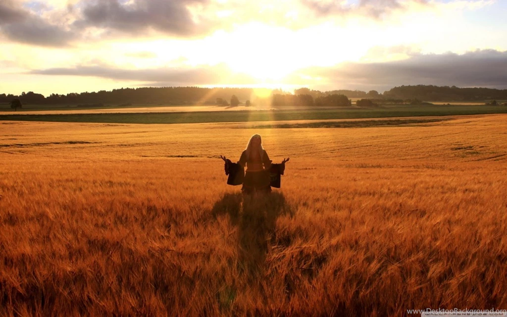 Happy Woman In Golden Wheat Field HD Desktop Wallpapers : High ...