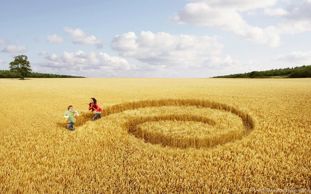 Girl Boy Running Wheat Field Wallpapers