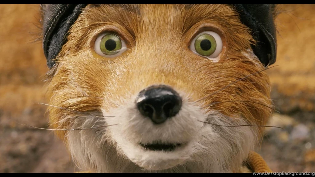 Great Shot From Fantastic Mr. Fox : Movies