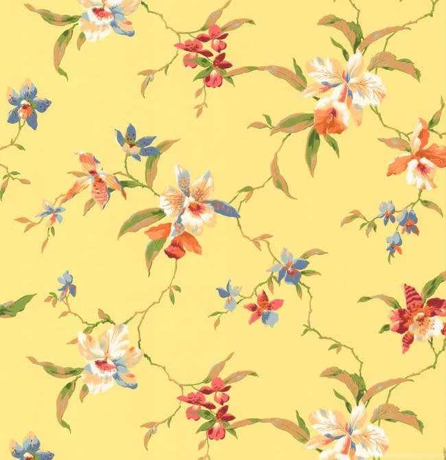 Green Blue Jg0751 Tropical Floral Wallpapers By York