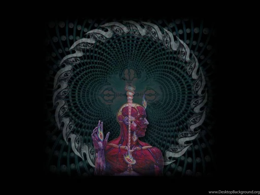 Tool Band Wallpapers Hd Free Android Application Createapk.com