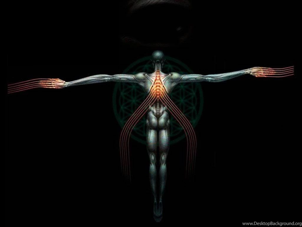 Tool Band Wallpapers Hd   Free Android Application   Createapk.com