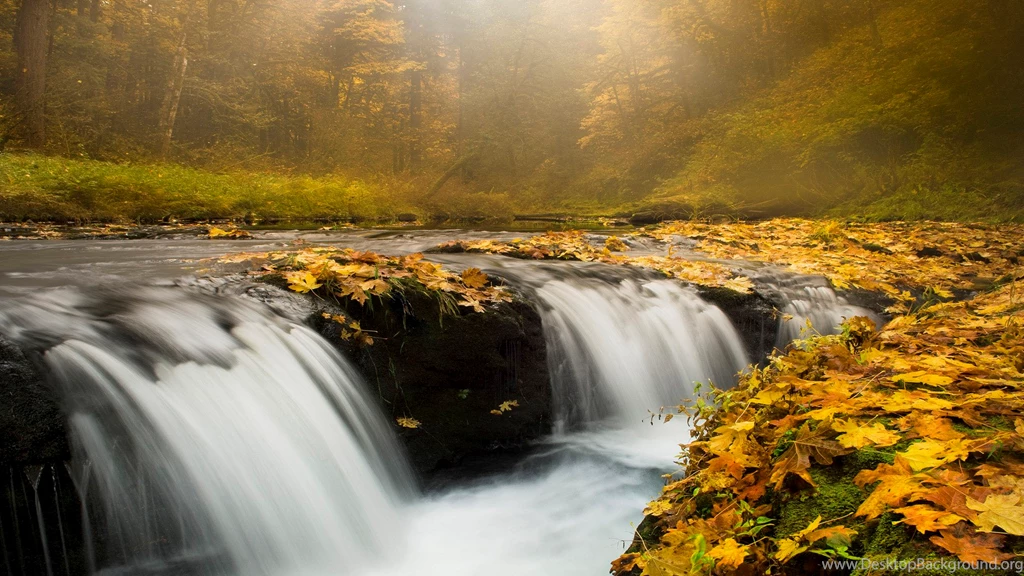 New_Landscape_Collection 03.jpg