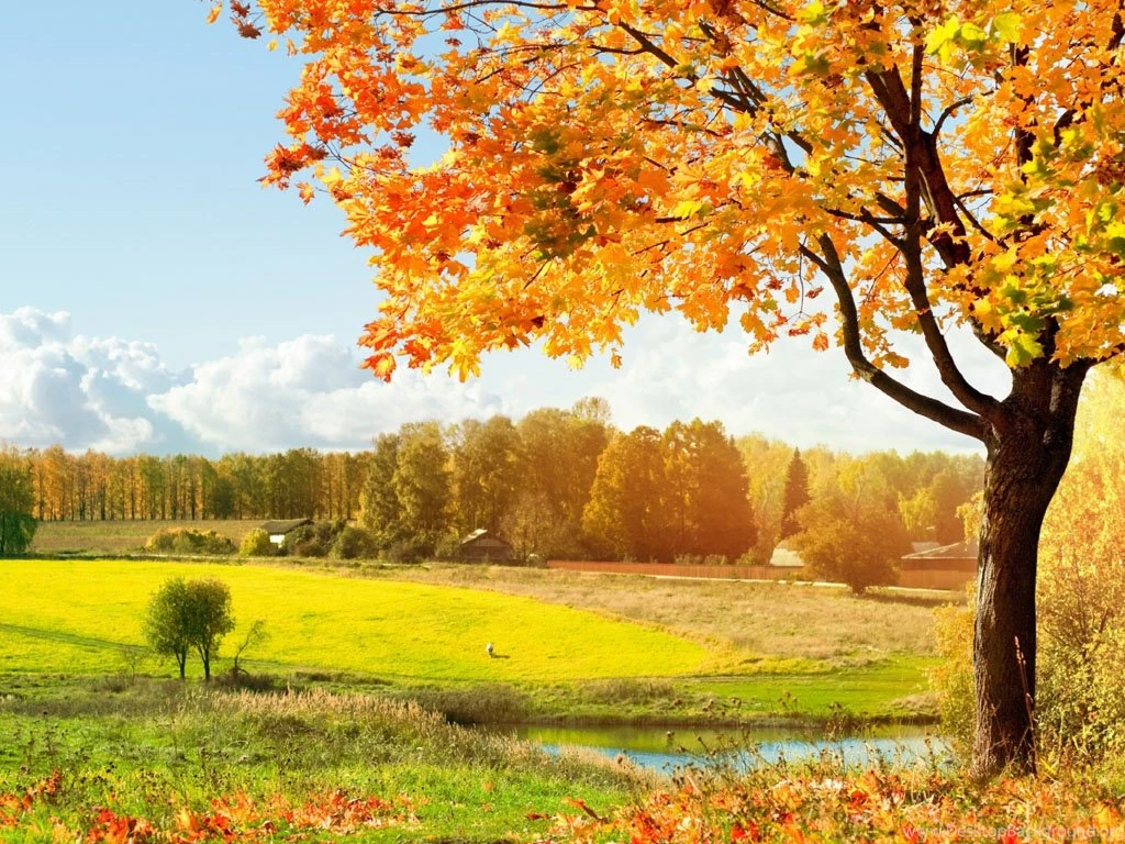 Wallpaper: Scenery Wallpapers