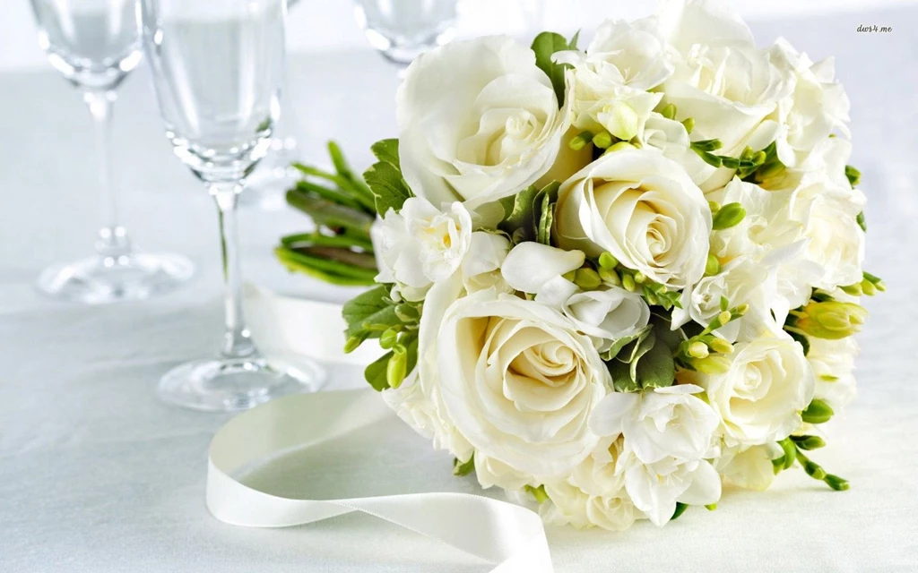 White Rose Pictures Wallpapers GH7