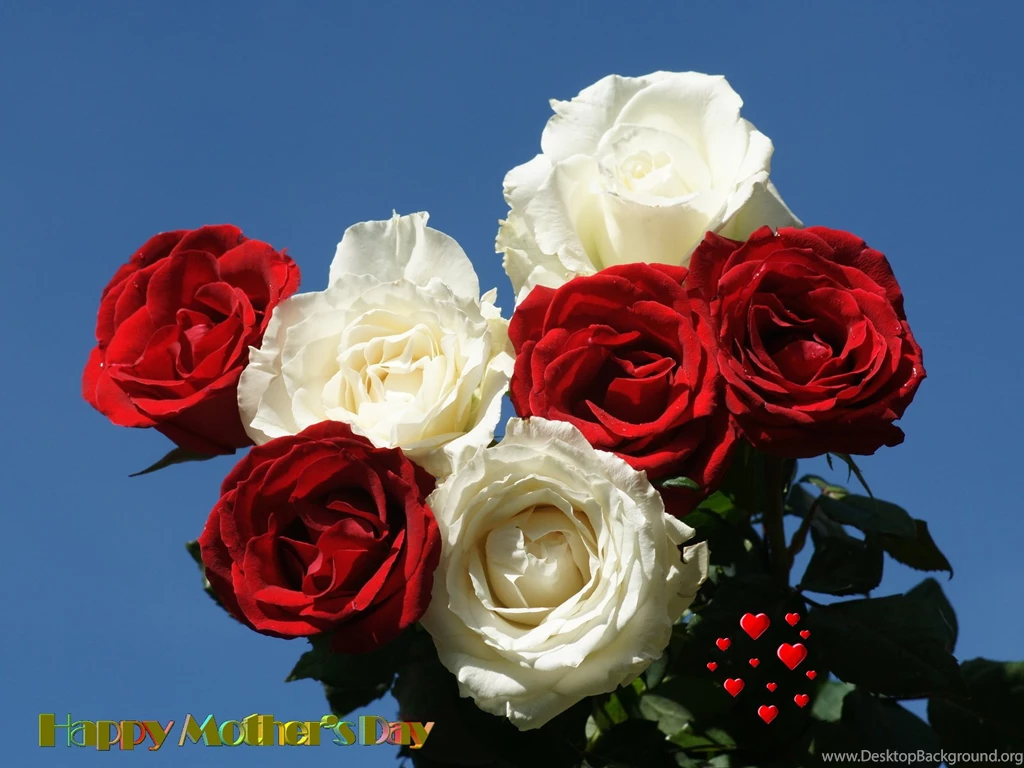 Mothers Day Wallpapers Beautiful Flowers