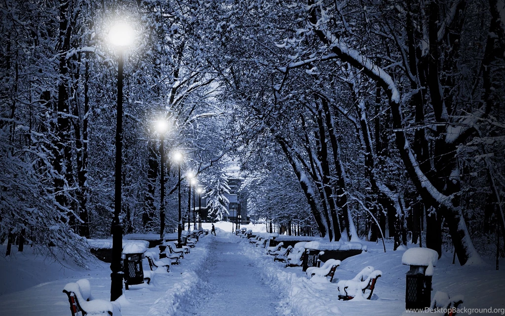 Winter Night Wallpapers