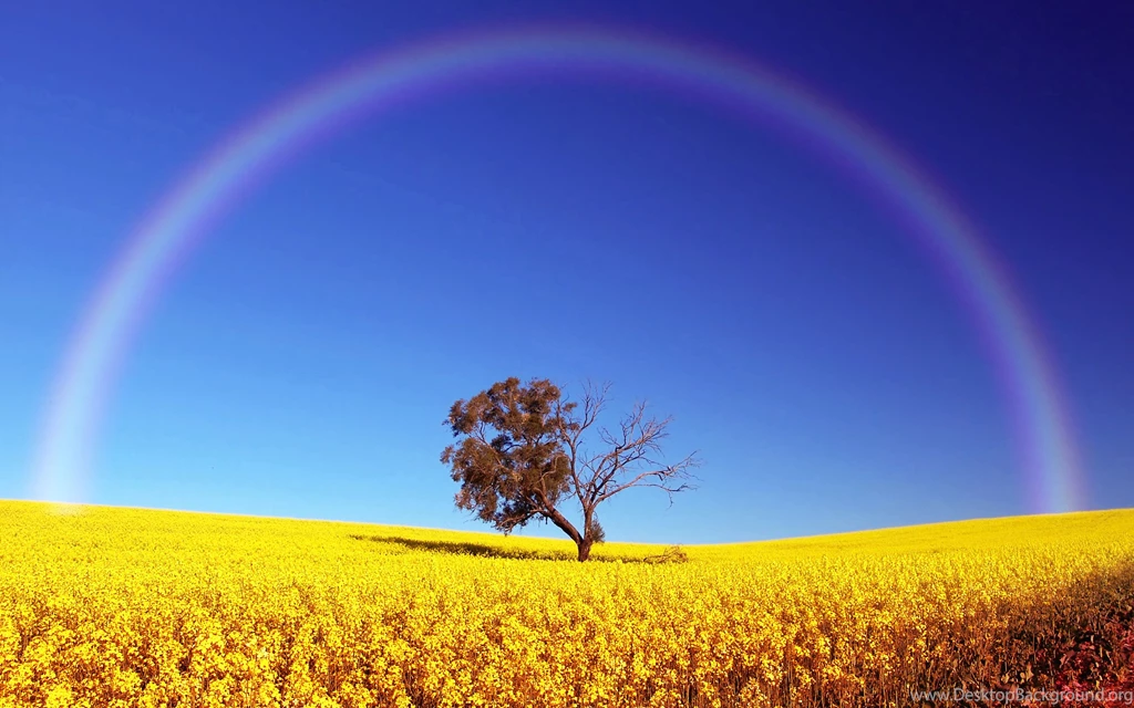 High Quality Wallpaper Images Widescreen Fullwidehd.com