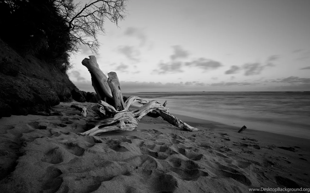 Diamond Head Beach Computer Wallpapers, Desktop Backgrounds ...