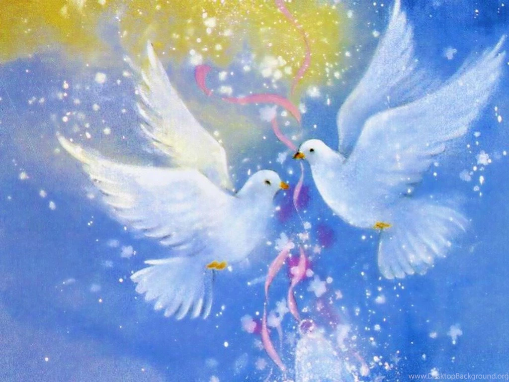 Love Birds Cynthia selahblue (cynti19) Wallpapers (33274613) Fanpop