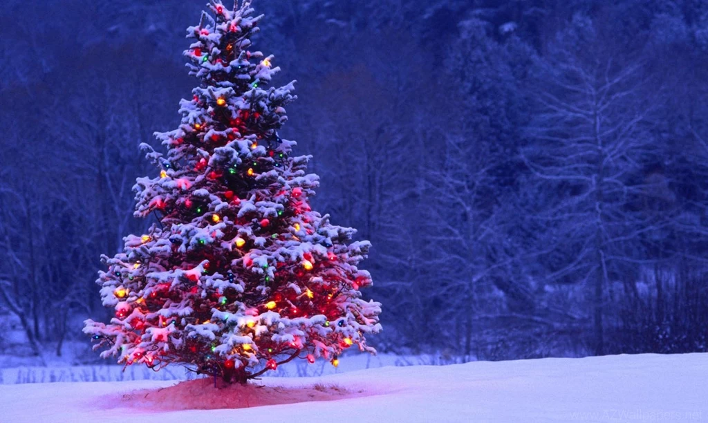 Desktop Images, Art, Amazing Pictures, Lovely Wallpapers, Cool ...