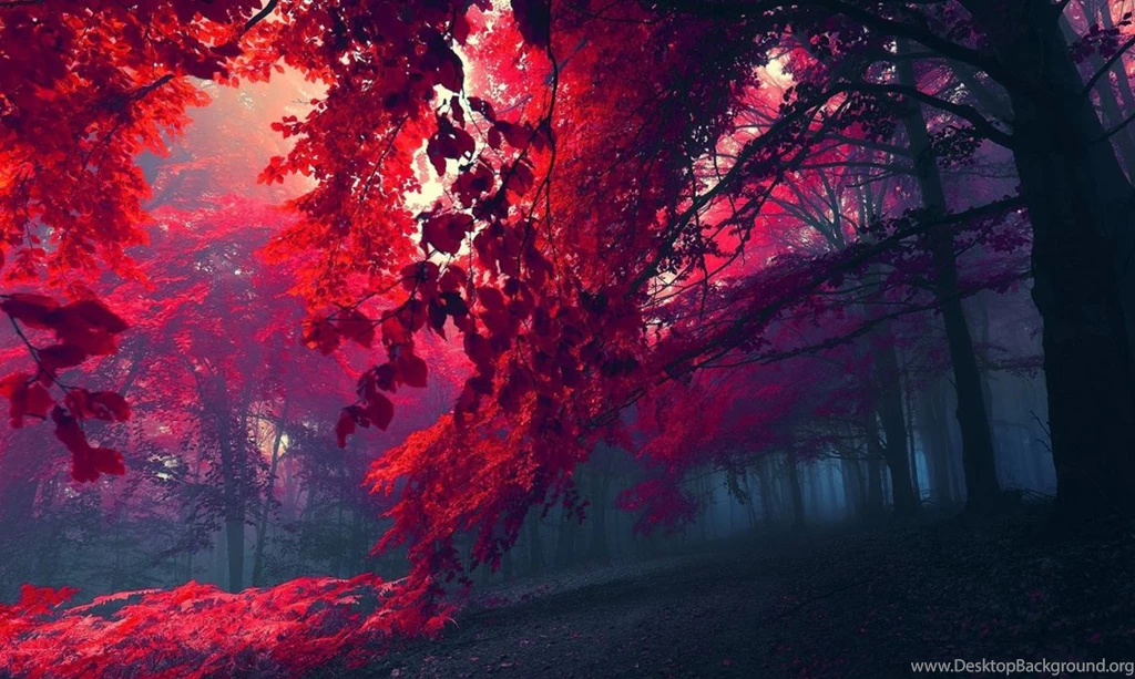 Hd Abstract Wallpapers, Colorful Backgrounds, Widescreen Images ...