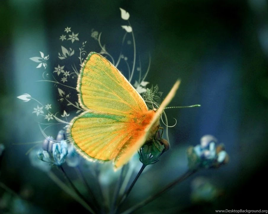 Desktop Images, Widescreen Images, Art, Colors, Amazing Pictures ...