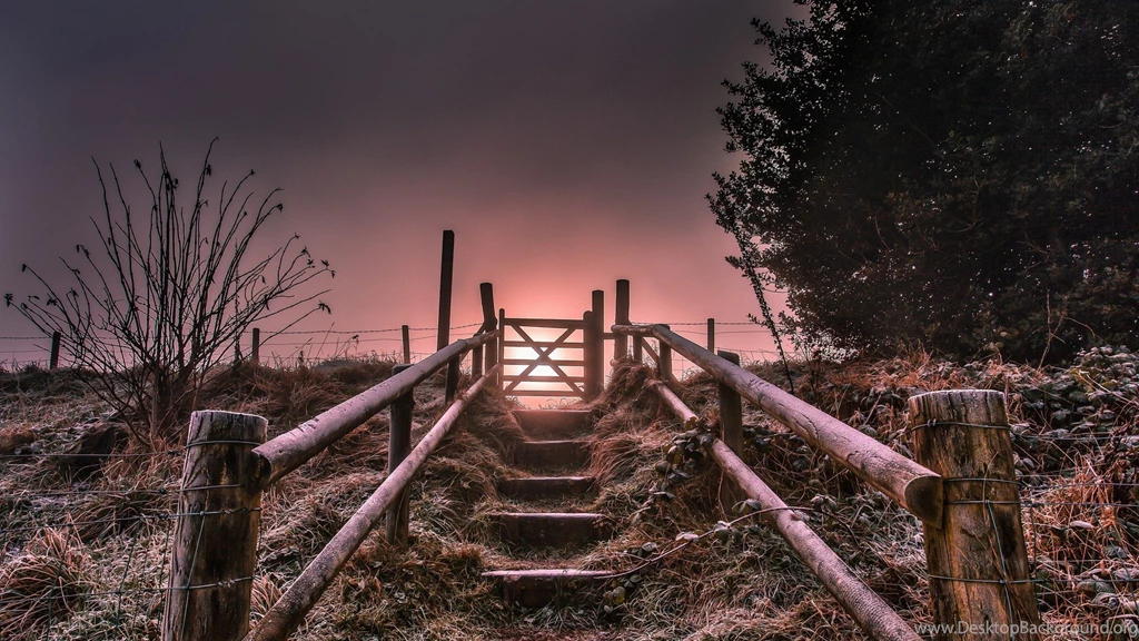 Other: Stairway Magenta Heaven Steps Rails Gate Sun Wallpapers For ...