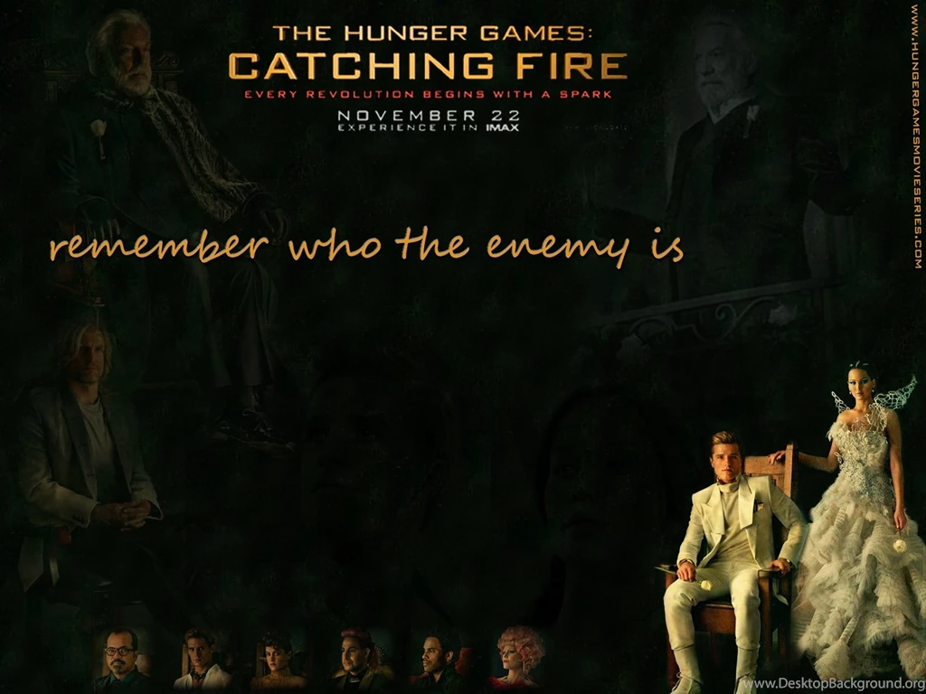 The Hunger Games Catching Fire Wallpaper.jpg
